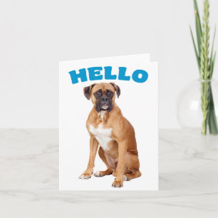 Cartão Olá Cachorrinho Boxer - Saudades, Amizade