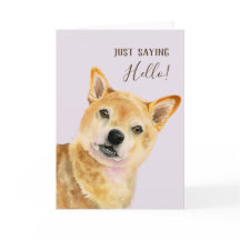 Olá | Cachorro de Shiba Inu