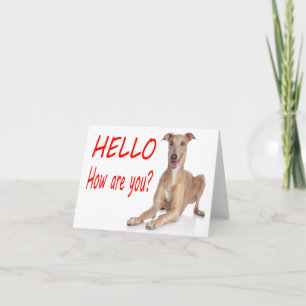 Cartão Olá Carta de Nota em Branco de Cachorro Puppy Ital