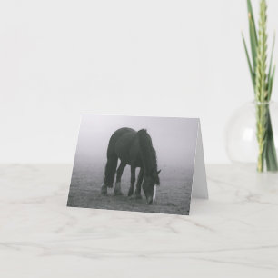 Cartão Olá Cavalo Equestre Western Miss You Love