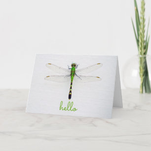 Cartão Olá com Dragonfly em Wall Outhouse