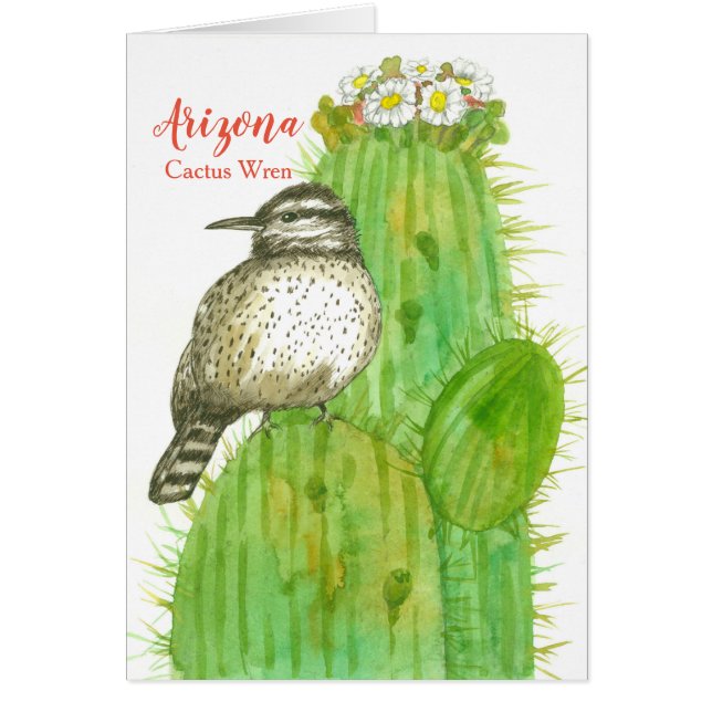 Cartão Olá Da Arizona Cactus Wren Saguaro (Frente)