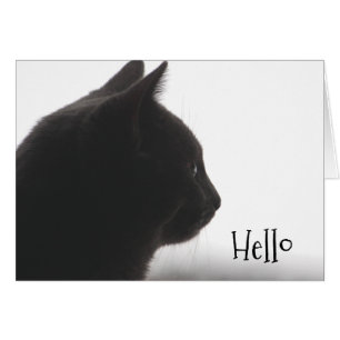 Cartão Olá De Um Gato Gatinho