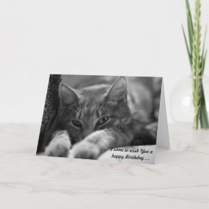 Cartão Olá! Este gato vem desejar um Feliz Aniversário!
