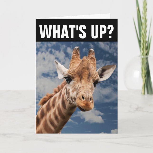 CARTÃO OLÁ GIRAFFE GREETING CARD, E AÍ? (Frente)