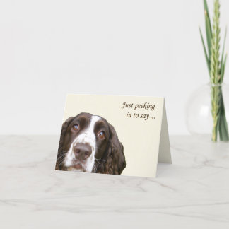 Cartão Olá Inglês Springer Spaniel Card