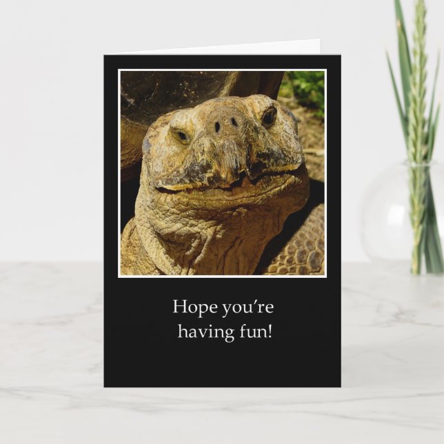 Cartão Olá para Camper Smiling Turtle (Frente)