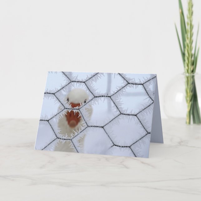 Cartão Olá! Pato atrás da cerca de fosco Natal secular (Frente)