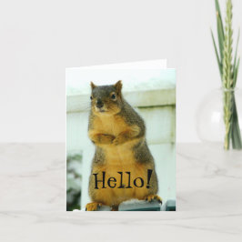 Cartão Olá, Squirrel