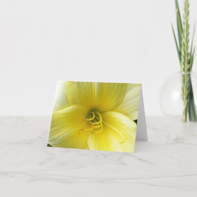 Cartão Olá Sunshine (Frente)