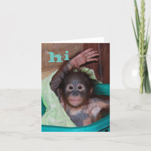 Cartão Olá, Sweet Baby Orangutan