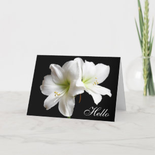 Cartão Olá White Lily Flower Greeting Card em preto