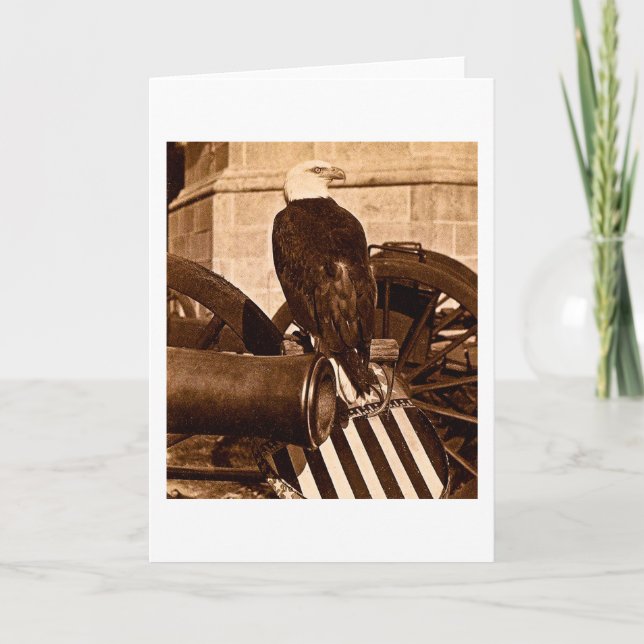 Cartão Old Abe-The Wisconsin War Eagle Stereoview ca 1875 (Frente)
