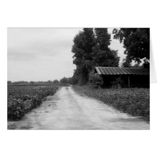 Cartão Old Building Barn na Carolina do Norte