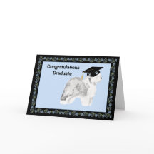 Old English Sheepdog Graduation