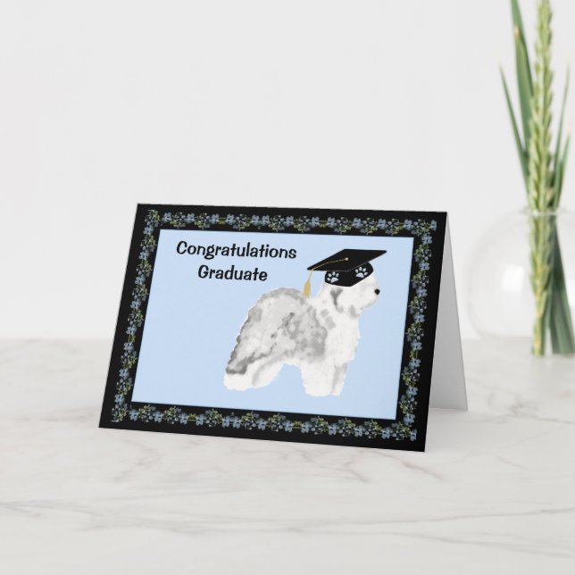 Cartão Old English Sheepdog Graduation (Frente)