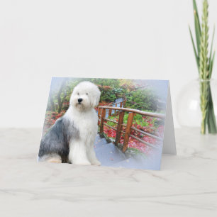 Cartão Old English Sheepdog Spring Day