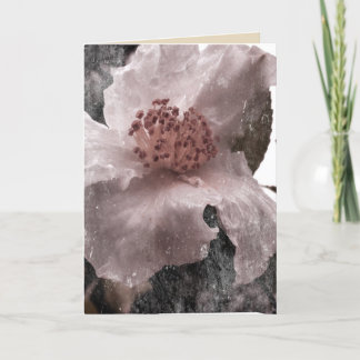 Cartão Old Timey Style White Blossom Blank Card
