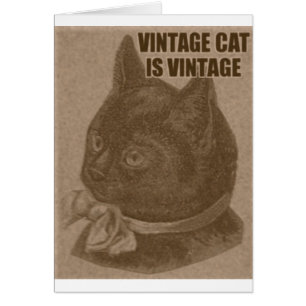 Cartão Olde LOLcat