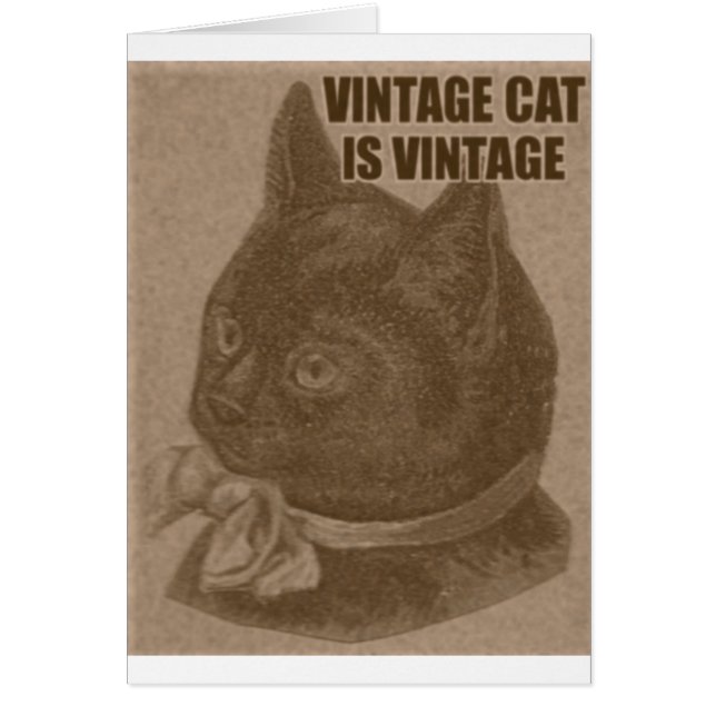 Cartão Olde LOLcat (Frente)