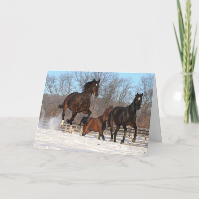 Cartão Oldenburg e Hanoverian Mares na neve (Frente)