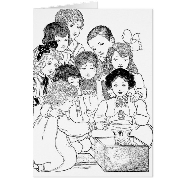 Cartão Olha, Kittens (Frente)