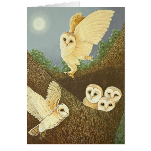 Cartão Olhando e esperando 2013 (Frente)