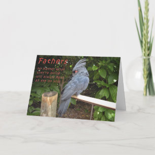 Cartão Olhando Minhas Costas