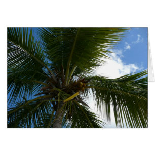 Cartão Olhando para a natureza tropical da árvore de pal