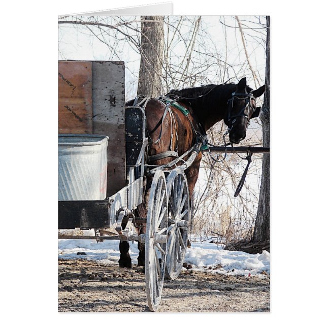 Cartão Olhando para trás (Frente)