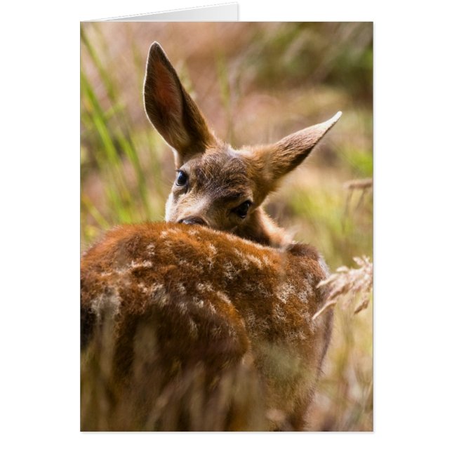 Cartão Olhando para trás (Frente)