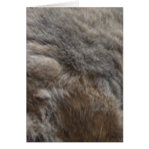 Cartão Olhar da pele do gato do falso