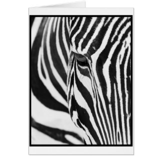 Cartão Olhar fixo da zebra