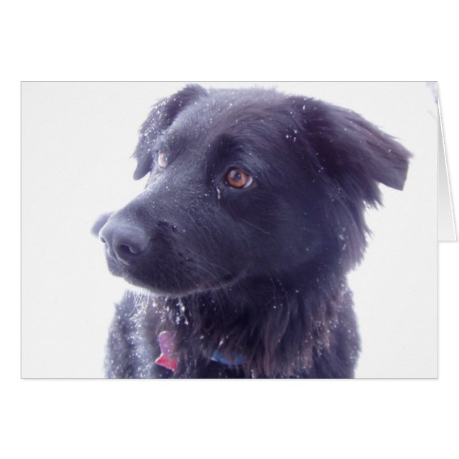 Cartão Olhar interessado (Frente Horizontal)