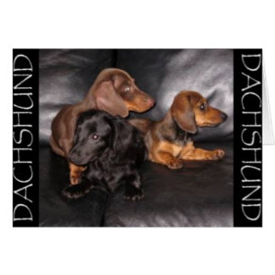 Cartão Olhe a outra maneira