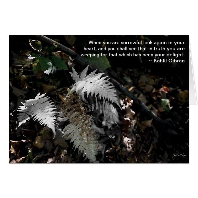 Cartão Olhe de novo no seu coração (Frente Horizontal)