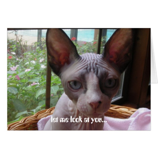 Cartão Olhe-o (Frente Horizontal)