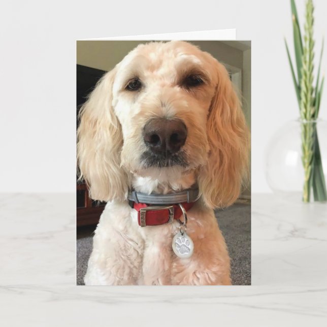 CARTÃO OLHE PARA OS MEUS OLHOS ***FELIZ ANIVERSÁRIO PARA  (Frente)