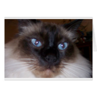 Cartão Olhem para os meus olhos