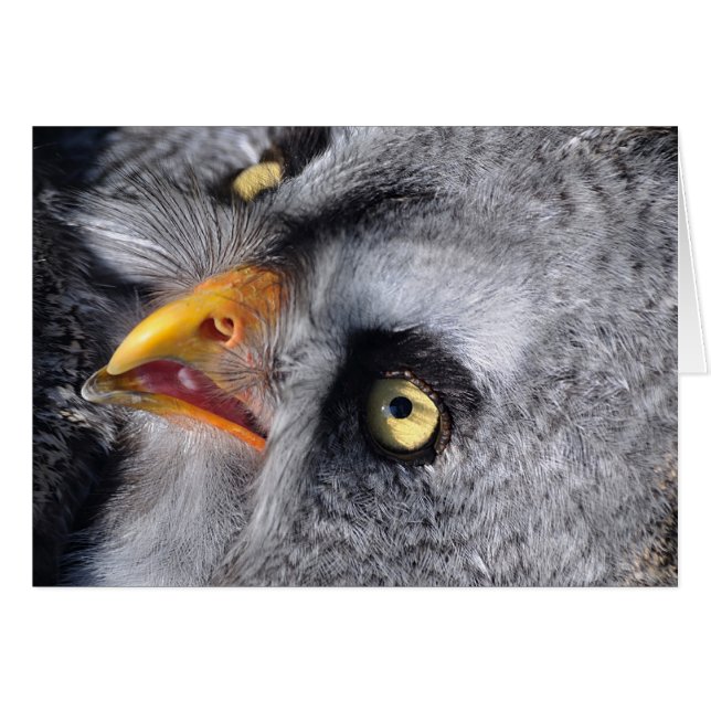 Cartão Olho assustador (Frente Horizontal)