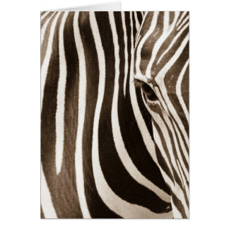 Cartão Olho da zebra