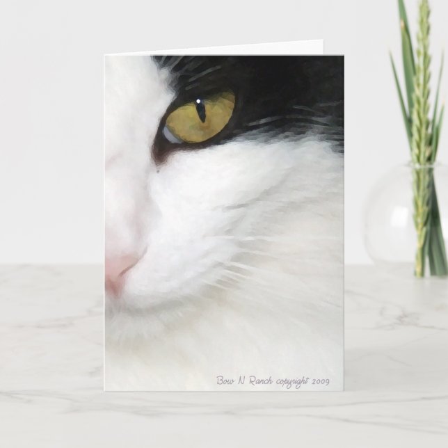 Cartão Olho De Gatos (Frente)