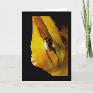 Cartão Olho para Olho