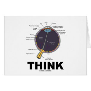 Cartão (Olho) Pensar (Humor Anatômico)