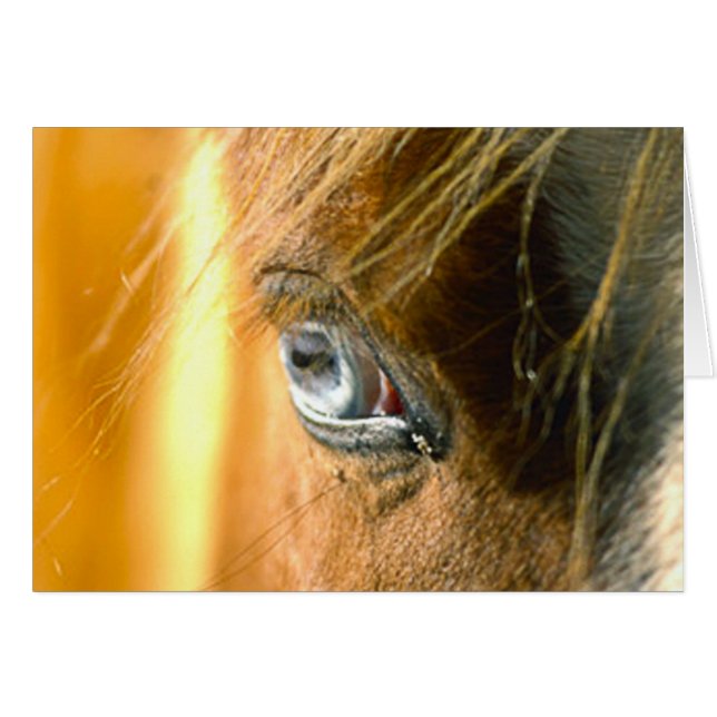 Cartão Olho Te Ama (Frente Horizontal)