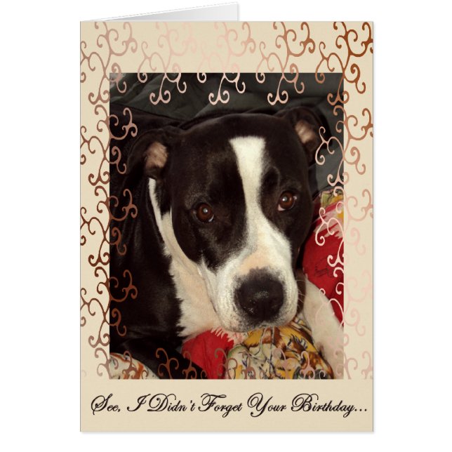 Cartão Olhos Adoráveis (Frente)