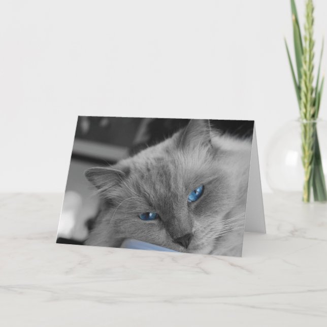 Cartão Olhos Azuis (Frente)