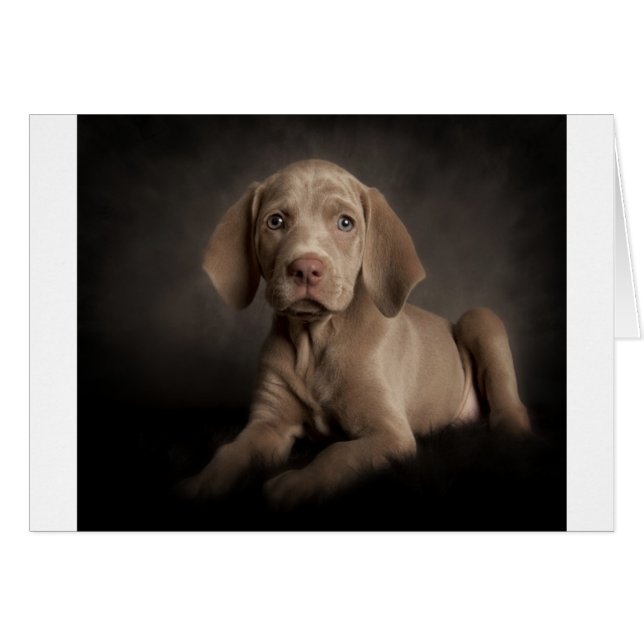 Cartão Olhos azuis (Frente Horizontal)