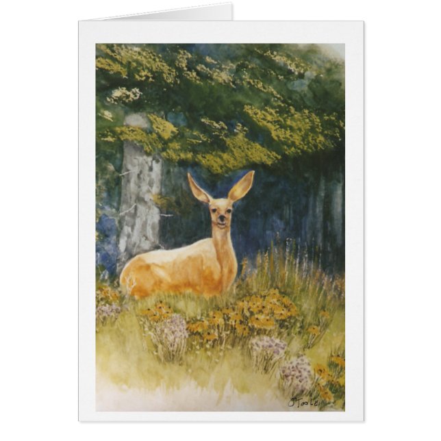 Cartão Olhos da gama (Frente)