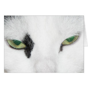 Cartão Olhos de Gato